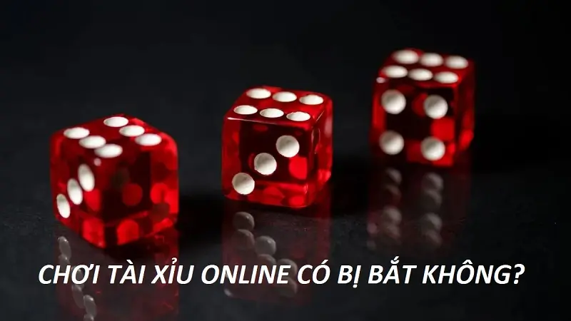 Chơi tài xỉu online có bị bắt không