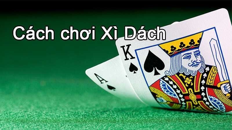 Tìm hiểu cơ bản về trò chơi bài xì dách 